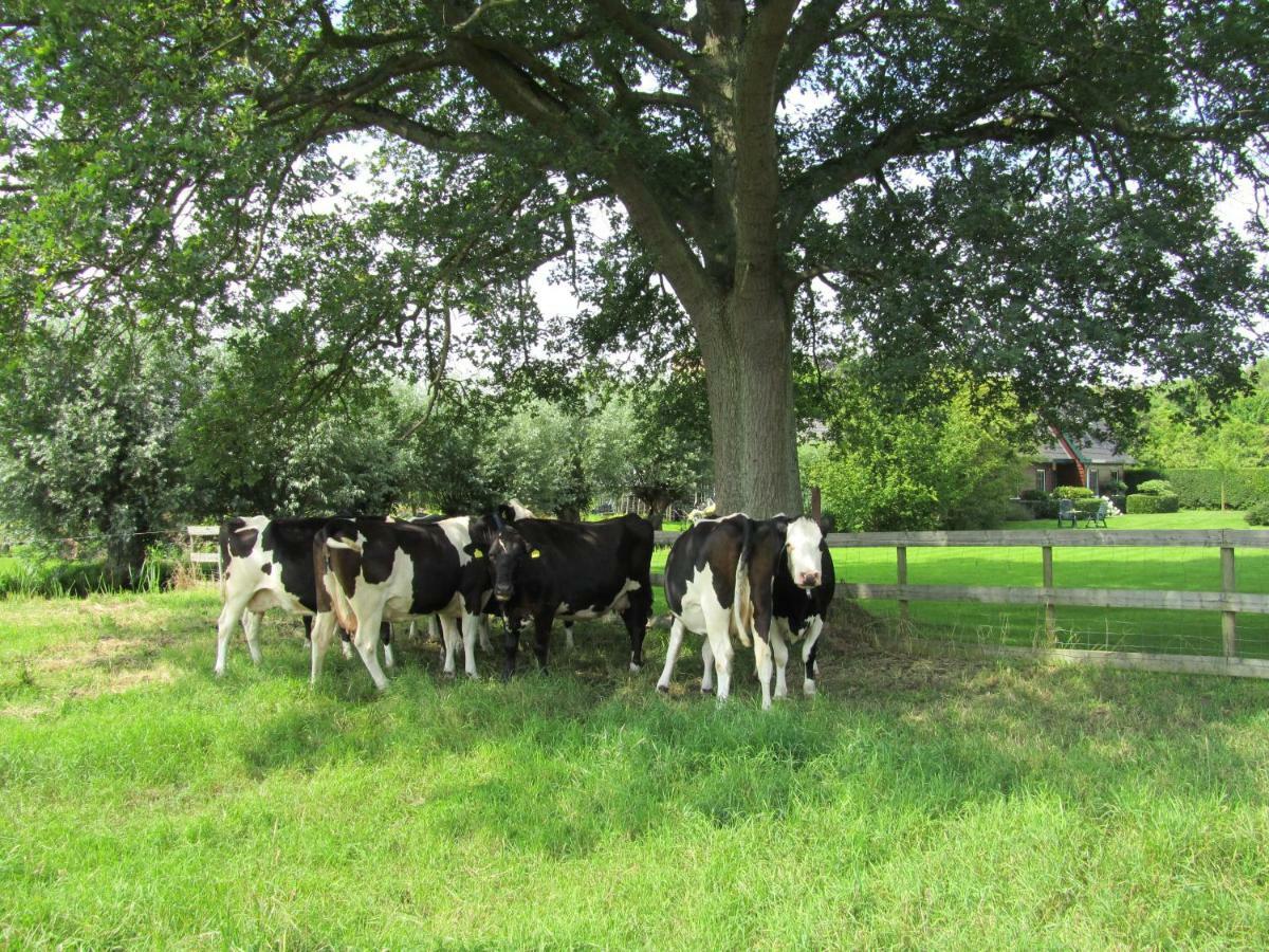 Bed & Breakfast Kortenhoefsedijk エクステリア 写真